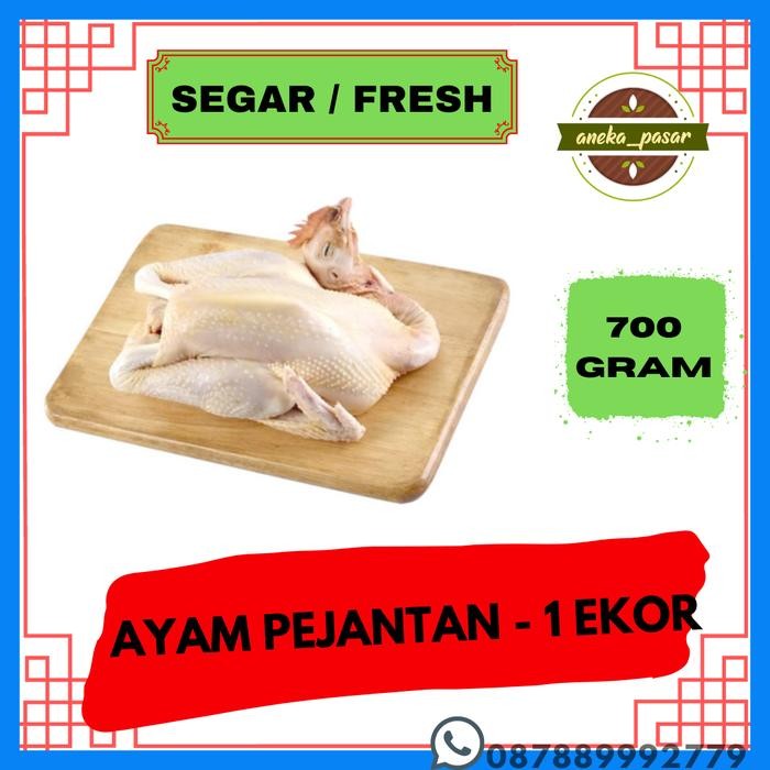 

BeliSkrg,KirimHariini- Ayam Pejantan Fresh / Ayam Potong Segar - Utuh