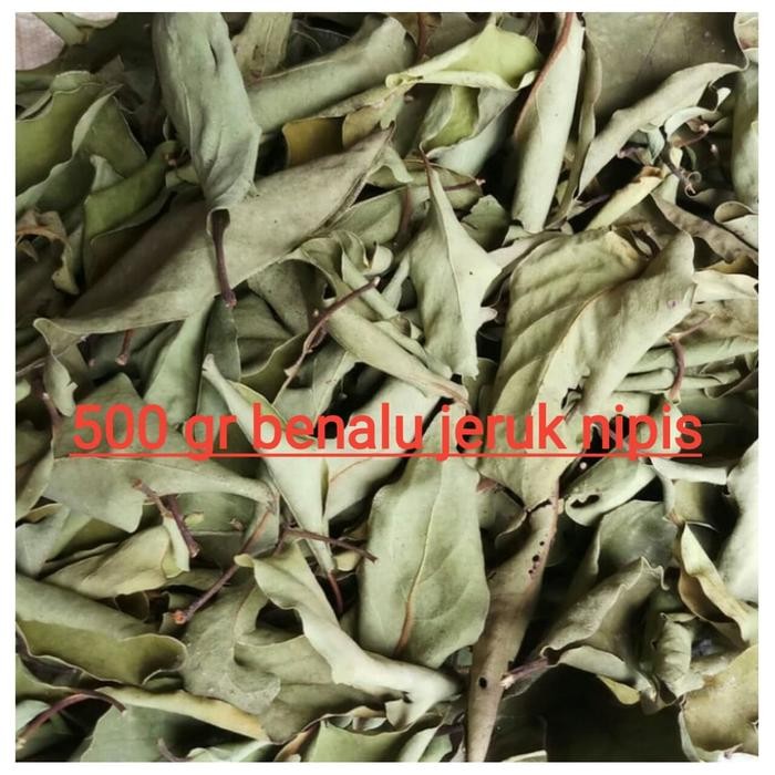 

PastikanDikirimLgsg- Benalu jeruk nipis kering daun ranting 500gr