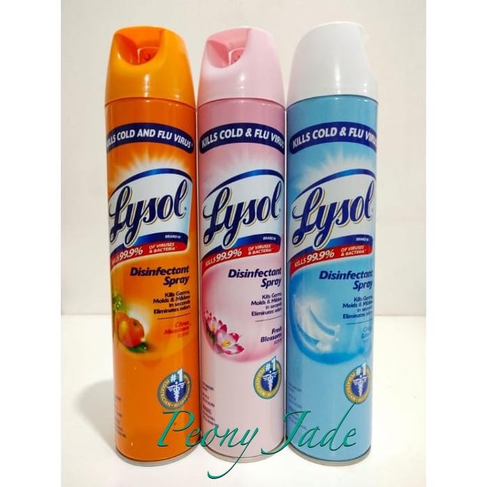 LYSOL DISINFECTANT SPRAY 510 gr