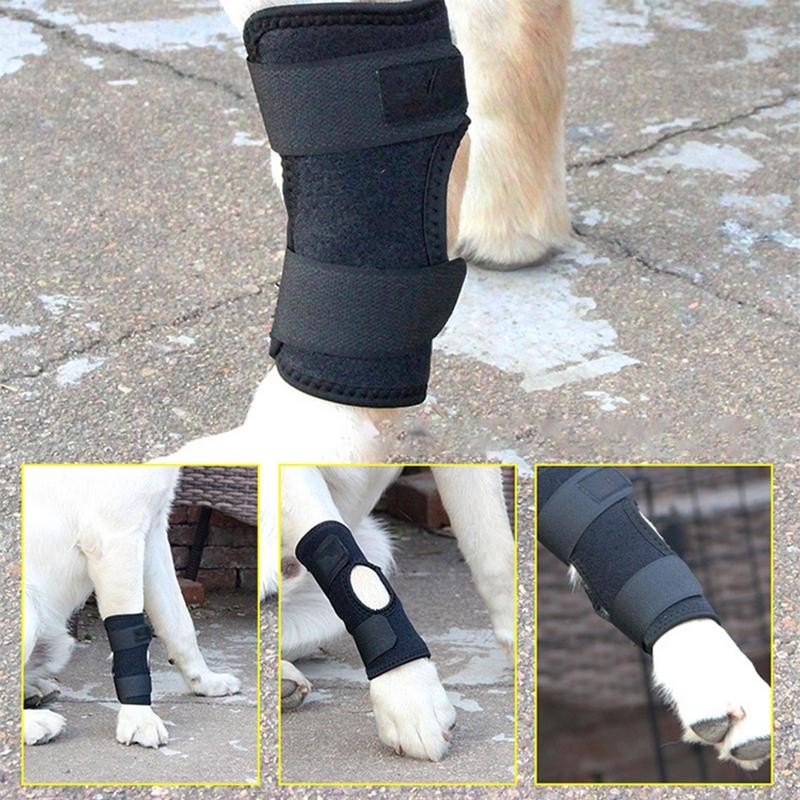 Leg Braces For Dogs Dog Leg Sleeve Dog Brace Dog Splint Knee Support Anti-Licking Ankle Brace Joint 