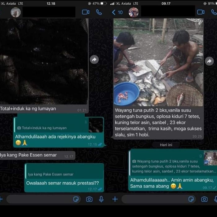 Essen Oplosan Semar Mendem 30Ml Adun Mancing