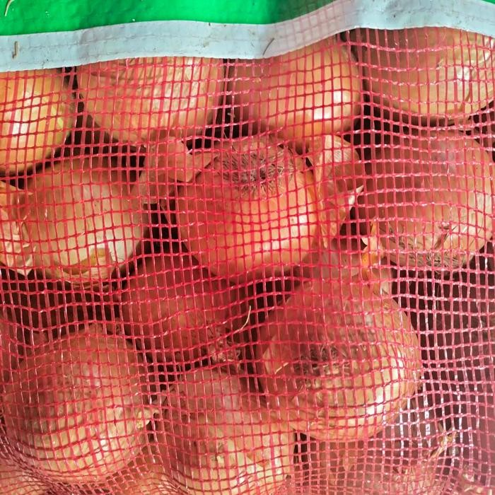 

JUAL BAWANG BOMBAY BESAR 10 KG