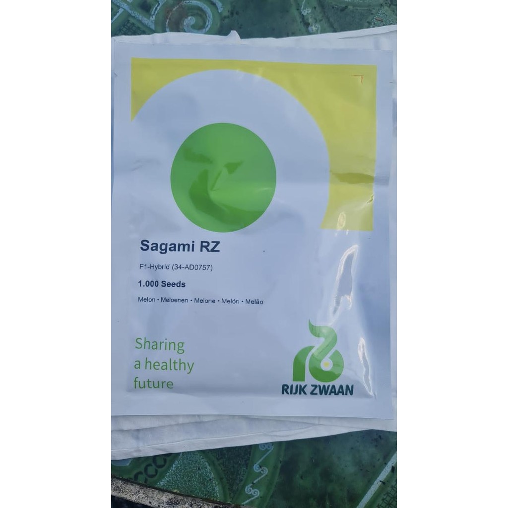 Evergreeeen Benih Melon Rz Sagami - 1000 Kemasan Ori