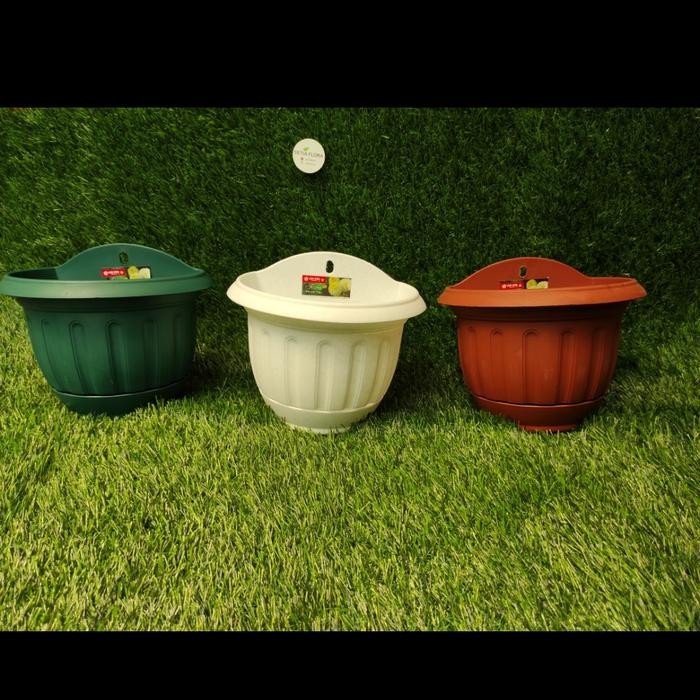 Evergreeeen Pot Tanaman/Bunga-Plastik-Tempel Dinding Lion Star No.6