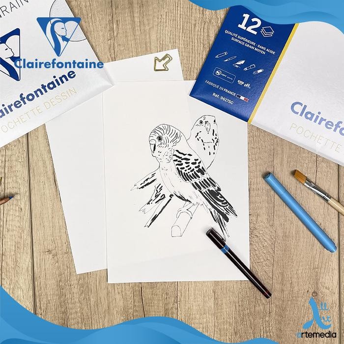 

Kertas Gambar Clairefontaine Grained Drawing Paper Sheet Pouch #Gratisongkir