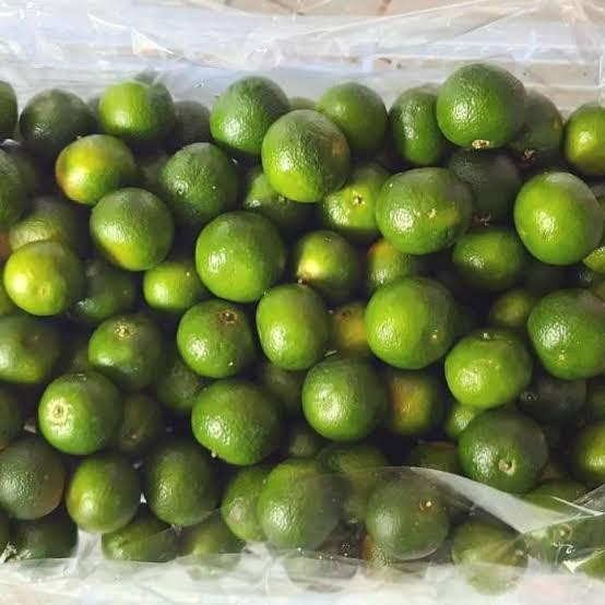 

Promo JERUK SANTANG MADU HIJAU MANIS BANGET / BUAH SEGAR & FRESH / 1 KRANJNG Terbaik