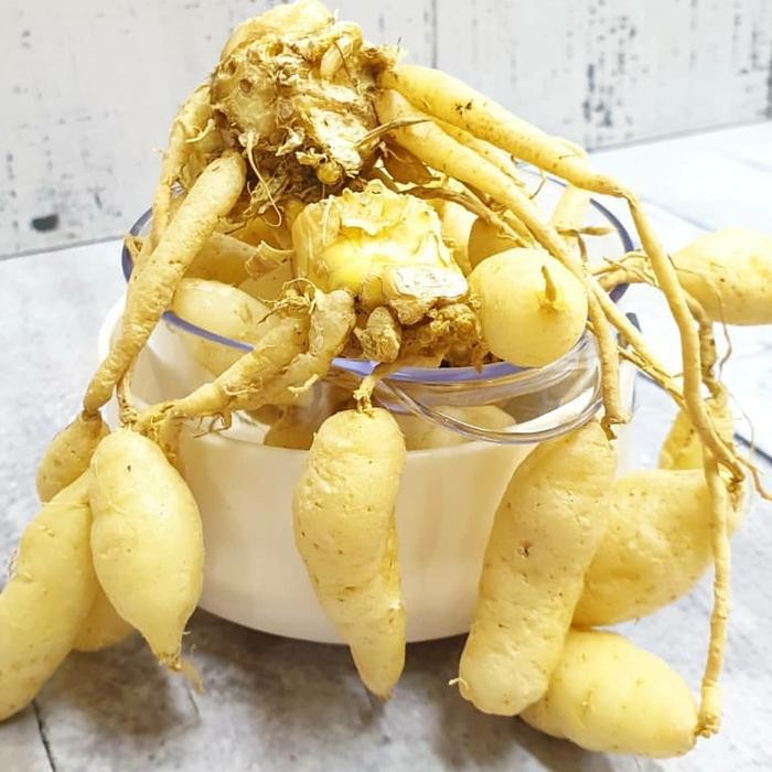 

BnyKpilihAnSkrG- Jamu kunyit putih segar ready to drink / Jamu bu ratini asli