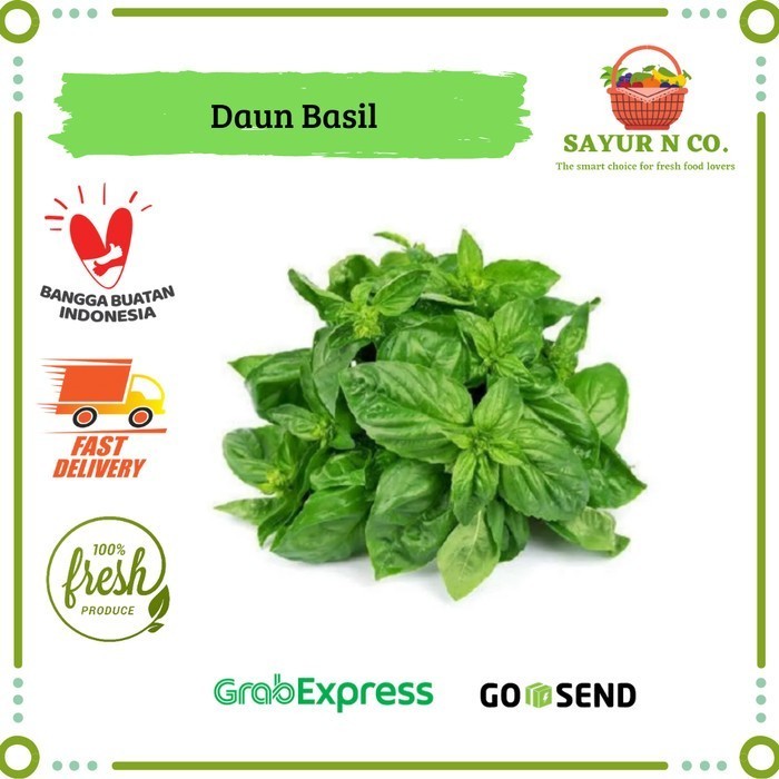 

BnyKBonusBelidiMari- Daun Basil - Basil Sweet Italian Segar 250gr 500gr 1 kg