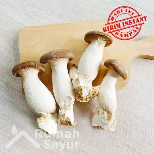 

BnyKBonusBelidiMari- Rumah Sayur Jamur Tiram Raja / King Oyster / Eringi [1 Pack]