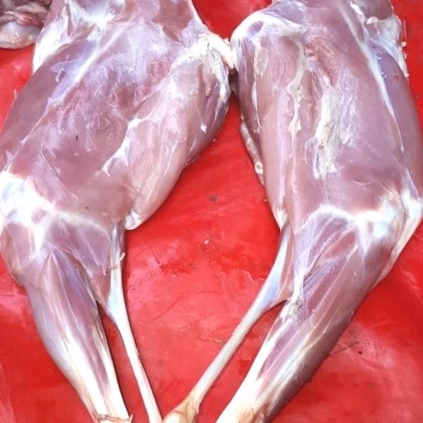 

BnyKBonusBelidiMari- paha belakang montok 1.500gram