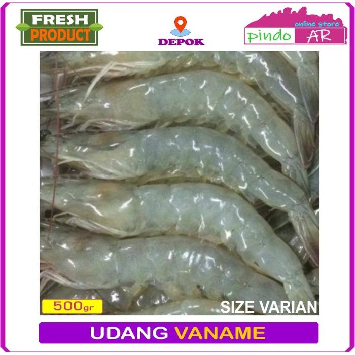 

PastiFreShNya- UDANG VANAME SEGAR SIZE BESAR/ SEDANG