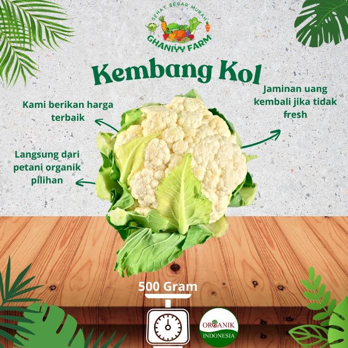 

BnyKBonusBelidiMari- Sayur Organik Murah By Organik Indonesia Kembang Kol Organik