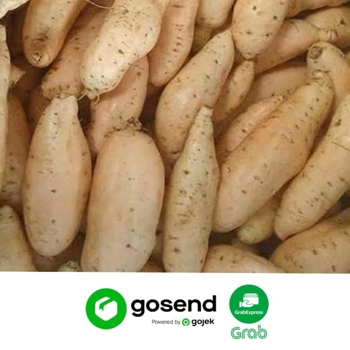 

BnyKBonusBelidiMari- UBI CILEMBU SEGAR (1 KG)
