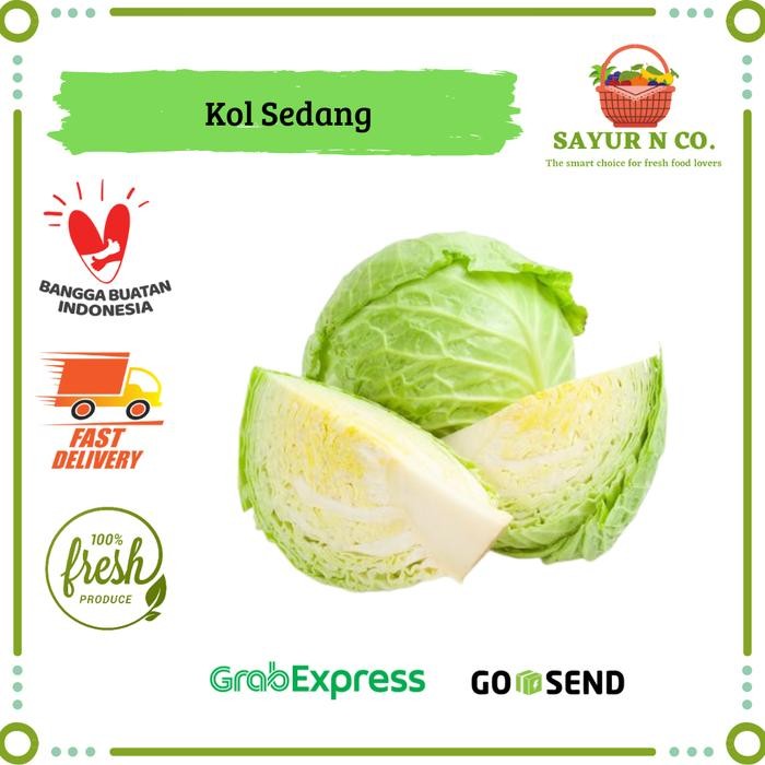 

BnyKBonusBelidiMari- Kol Sedang Segar 1100gr - 1500gr