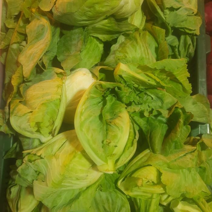 

BnyKBonusBelidiMari- cuciwis 1 kg