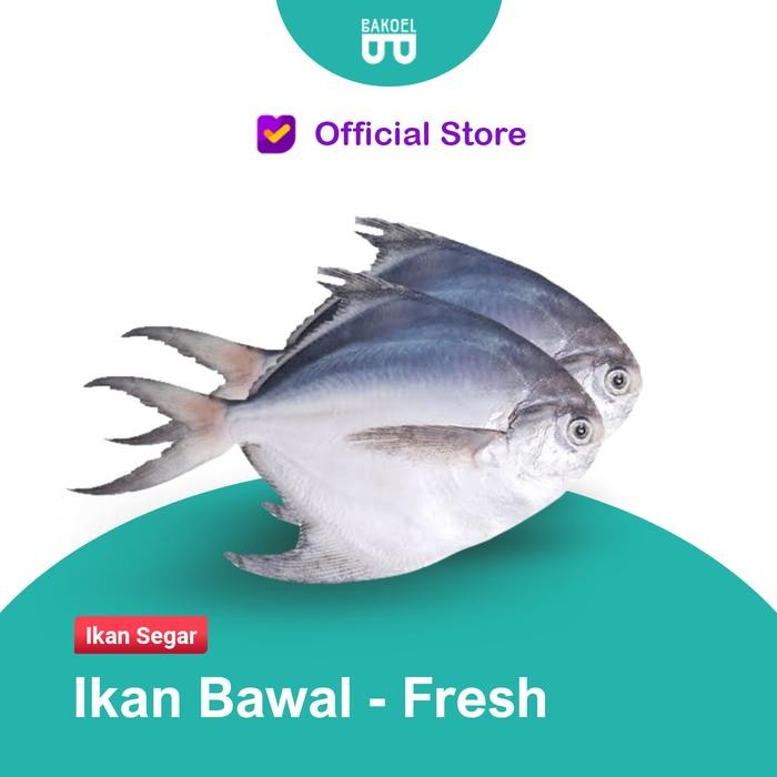 

PastiFreShNya- Ikan Bawal Segar