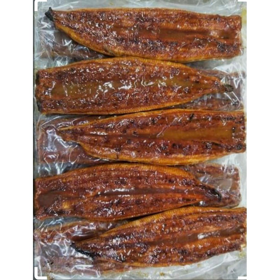

PastiFreShNya- unagi kabayaki ikan sidat jepang premium frozen