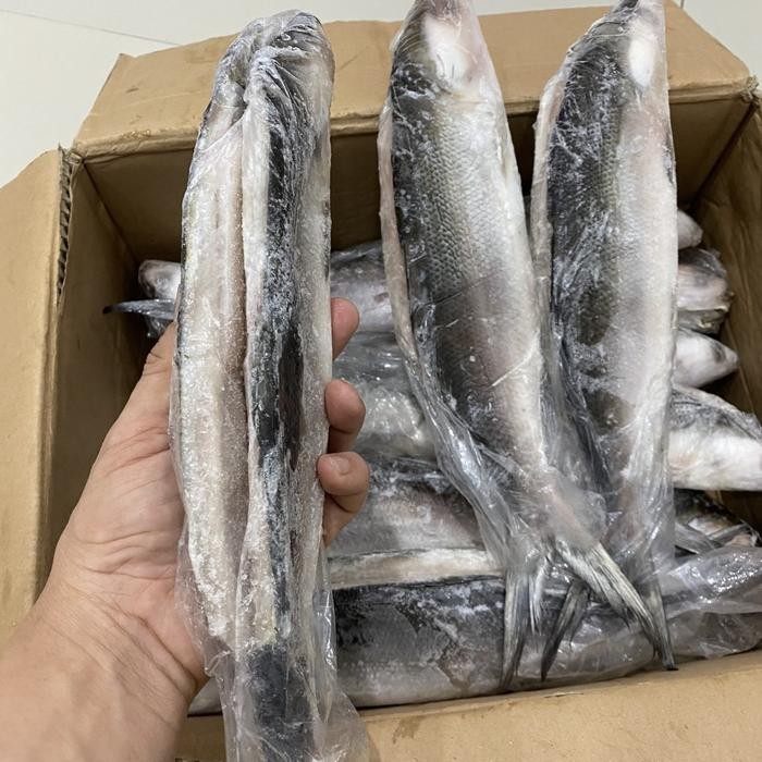 

PastiFreShNya- Ikan bandeng tanpa duri /cabut duri beku super @900-1000 gram