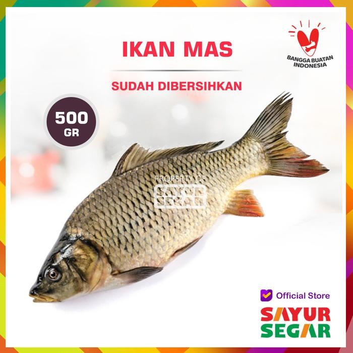 

PastiFreShNya- IKAN MAS [500g]