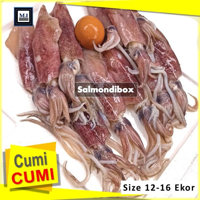 

BnyKBonusBelidiMari- Cumi Cumi Fresh - Sero Isi 12-16 Ekor/Kg