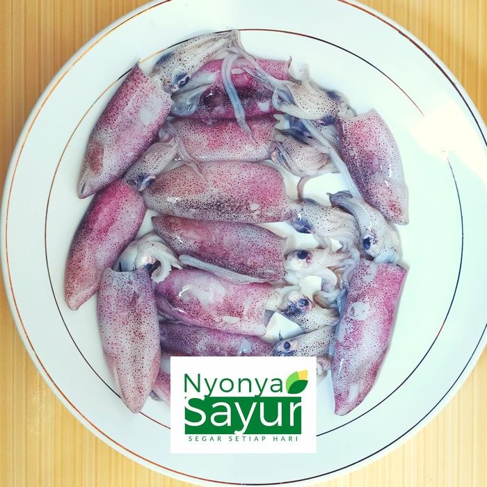 

PastiFreShNya- Cumi Cumi Segar