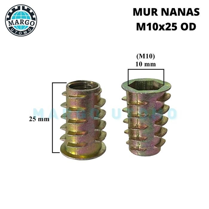 PREMIUM Mur Nanas Mur Tanam OD M10x25
