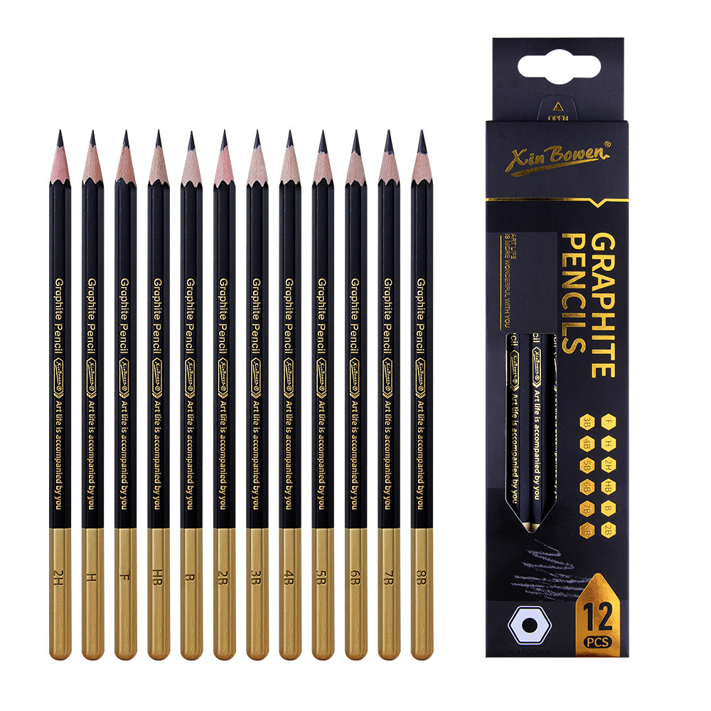 

Professional Charcoal Pencils Set 12Pcs Sketch Black Pencils For Drawing, Sketching, Shading,
