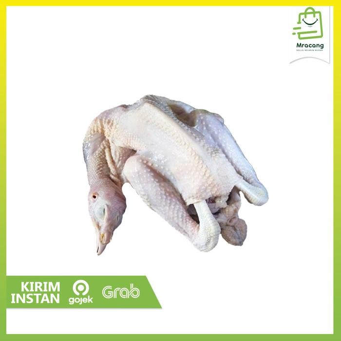 

New AYAM KAMPUNG UKURAN LARGE / AYAM FRESH