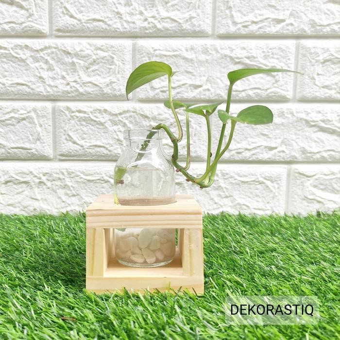 JTTOP" VAS BUNGA KACA KAYU TANAMAN AIR HIDROPONIK