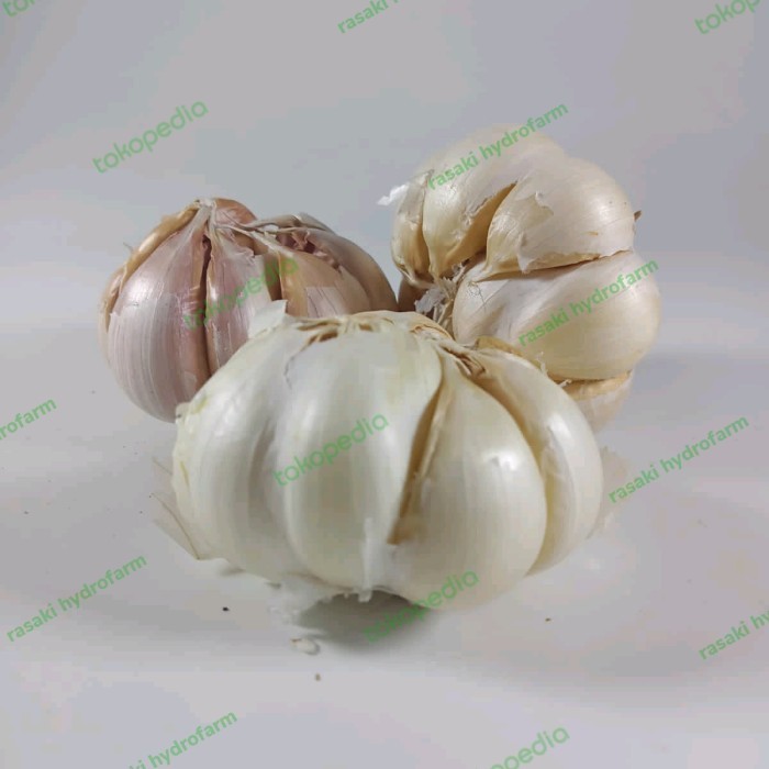 

bumbu masak bawang putih 1 kg