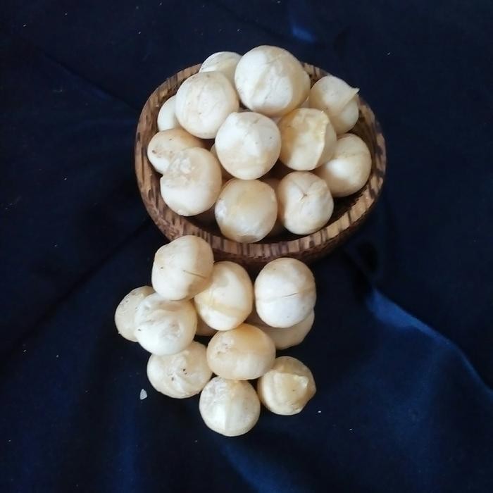 

Kacang Macadamia (Macadamia Nuts) 500 gr Terlaris