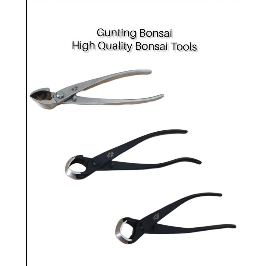 PREMIUM Catok Bonsai Import Anti Karat/Catok Miring/Catok Bonsai Cembung 210mm