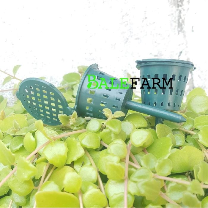 PREMIUM (100pcs) keranjang Pupuk dekastar Untuk Pot Bunga Anggrek Osmocote Bonsai dekastar Hitam