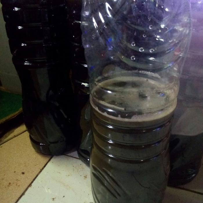 Pawretty- Urine kelinci murni di fermentasi.