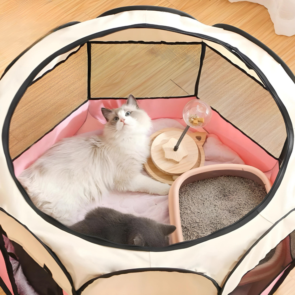 Kandang Lipat Portable - Kandang Kucing Besar - Rumah Kucing Untuk Melahirkan Jumbo Tenda Anjing