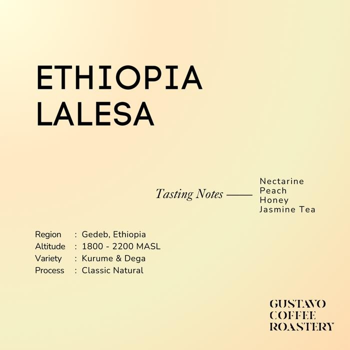 

Biji Kopi Arabika ETHIOPIA LALESA Single Origin Gustavo