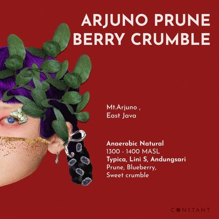 

Biji Kopi Specialty Arjuno Prune Berry Crumble - Constant Beans