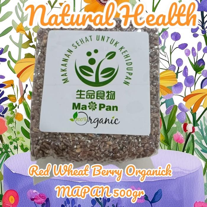 

Red Wheat berrie Organik MAPAN 500gm