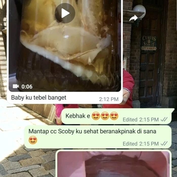 

Terlaris- Kombucha Baby Scoby Sehat Aktif + Starter Usia Minimal 1 Bulan