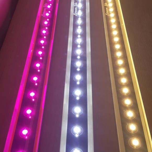 PREMIUM LAMPU TANNING ARWANA SUPER RED DAN GOLDN RED 15 watt/ 15 mata 50cm