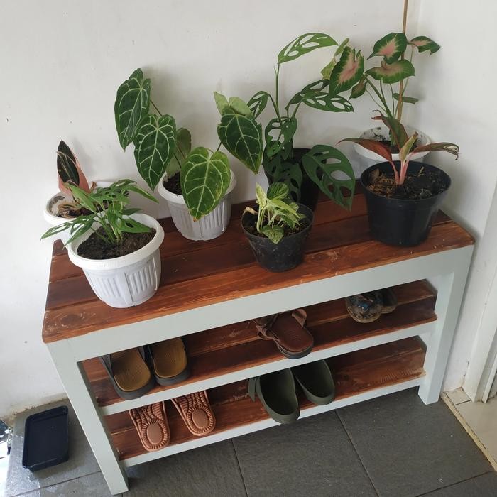 Terbaru Rak Sepatu Dan Tanaman Jati Belanda