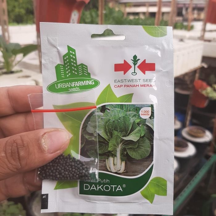 Bibit Benih Sayur Sawi Putih Panah Merah Repack