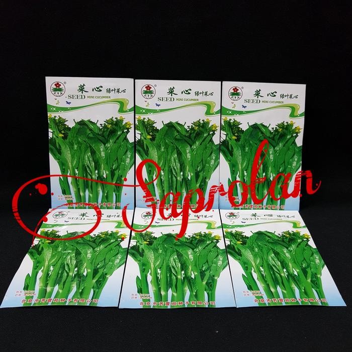BENIH BIBIT SAYUR CAISIM BUNGA MINI CUCUMBER 5 GRAM