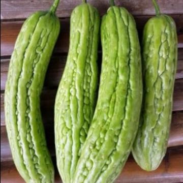 Bibit /Benih Sayur Pare Segudang manfaat Tanaman Merambat Isi 5 Biji