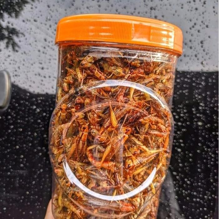 

JTTOP" BELALANG UTIS GORENG TOPLES SOSIS JUMBO HARGA 55RB AN