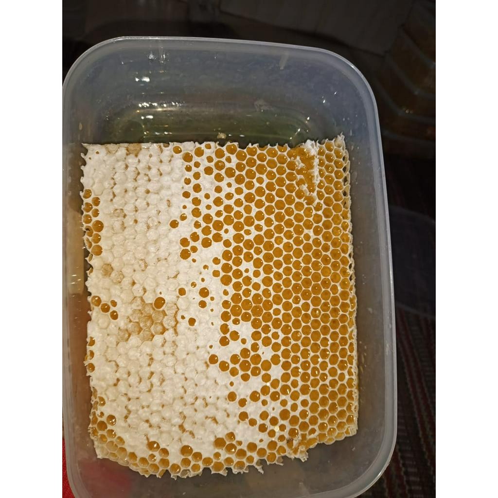 

Sega Tungtung Sarang Madu Mellifera 500 Gram Murni Budidaya Bee Wax Honey Comb Rumah Madu Pacet