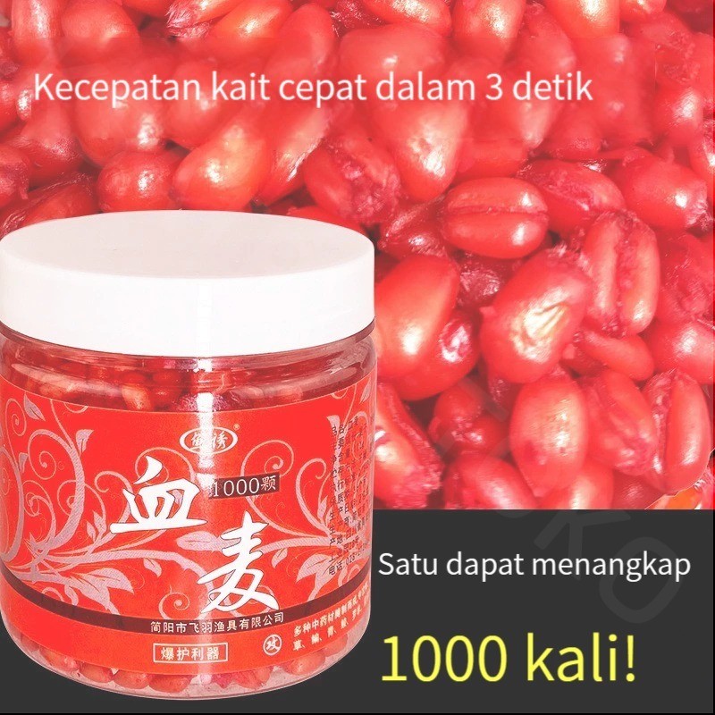 [Ready] (ORI,COD)Umpan Ikan Mas Dapat Menangkap Ikan 1000 Kali 100% Terperangkap Umpan Ikan