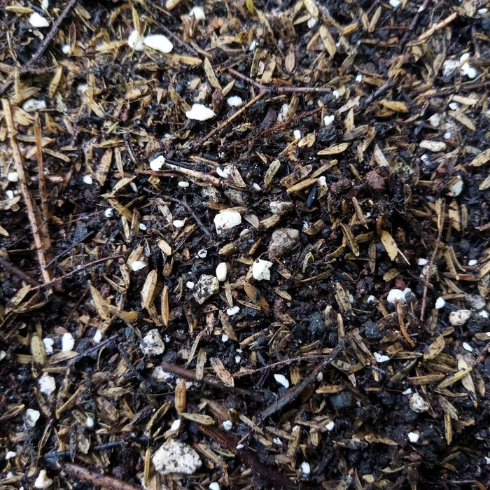 New Metan, Fermentasi Premium, Monstera, Philodendron, Keladi, Aglonema