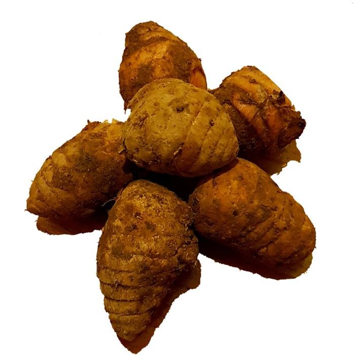 

Terlaris Biang Kunyit 500 Gr