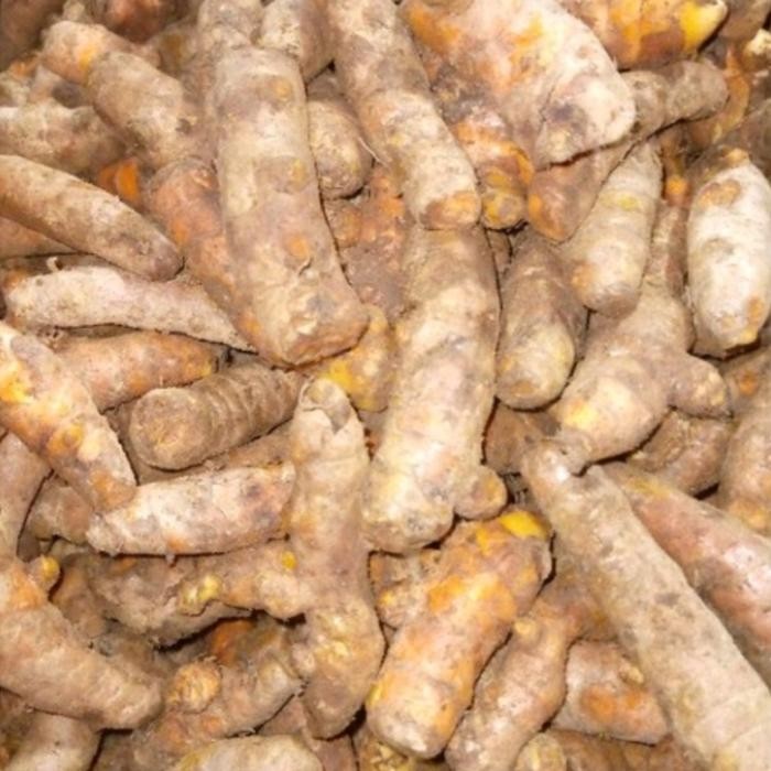 

Terlaris Kunyit Segar 1Kg